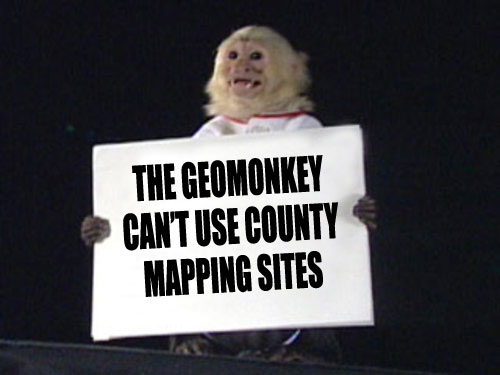 GeoMonkey-countywebsites.jpg